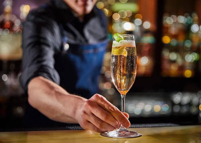 حياة ريجينسي فندق 5*