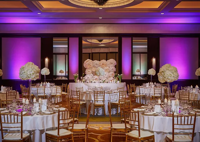 حياة ريجينسي 5*